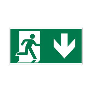 Bord Nooduitgang naar beneden - 150x300 mm.