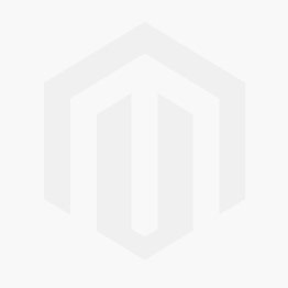 Spanschroef 2 x aanlaseind M 12